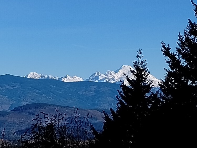 View of Mount Baker